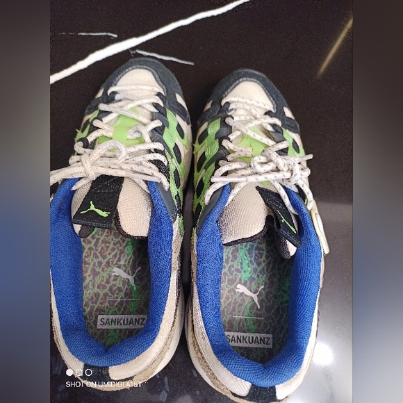 Puma - Picture 5 of 11